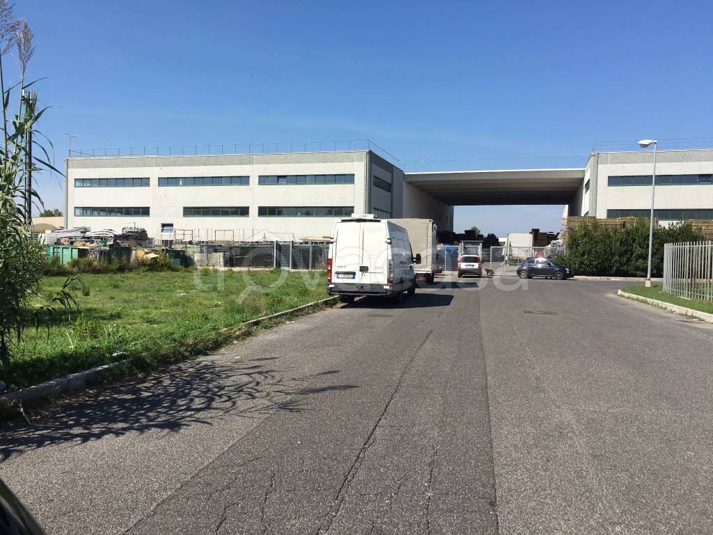 immagine annuncio 5 di 8