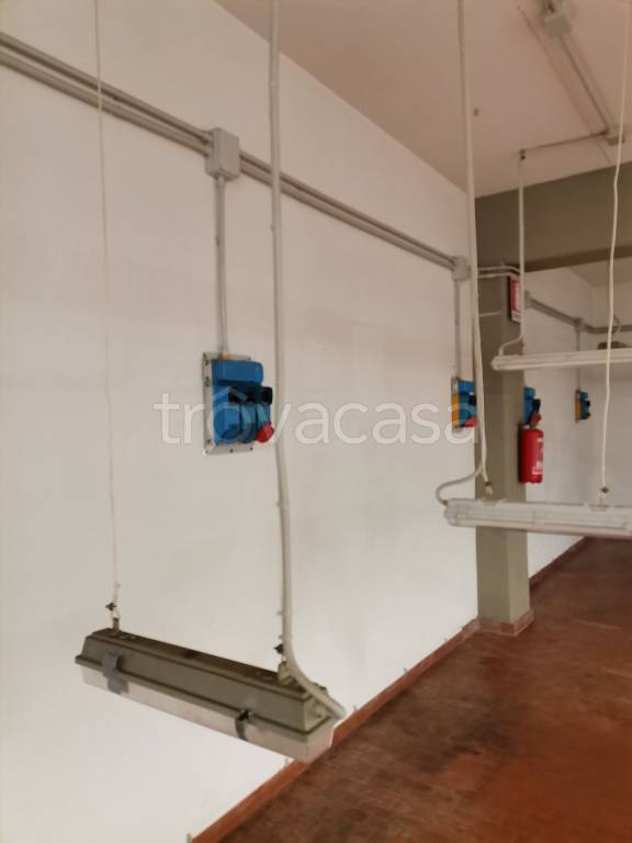 immagine annuncio 7 di 14