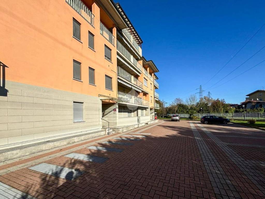 immagine annuncio 11 di 15