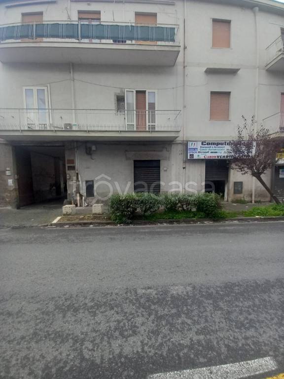 immagine annuncio 4 di 12