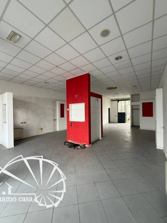 immagine annuncio 1 di 14
