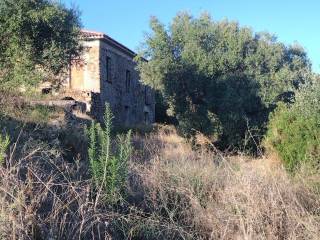 Terreno agricolo in vendita a montecorice cosentini