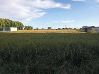 Terreno agricolo in vendita a romentino 