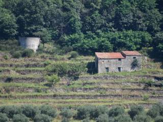 Terreno agricolo in vendita a orco feglino via concezione