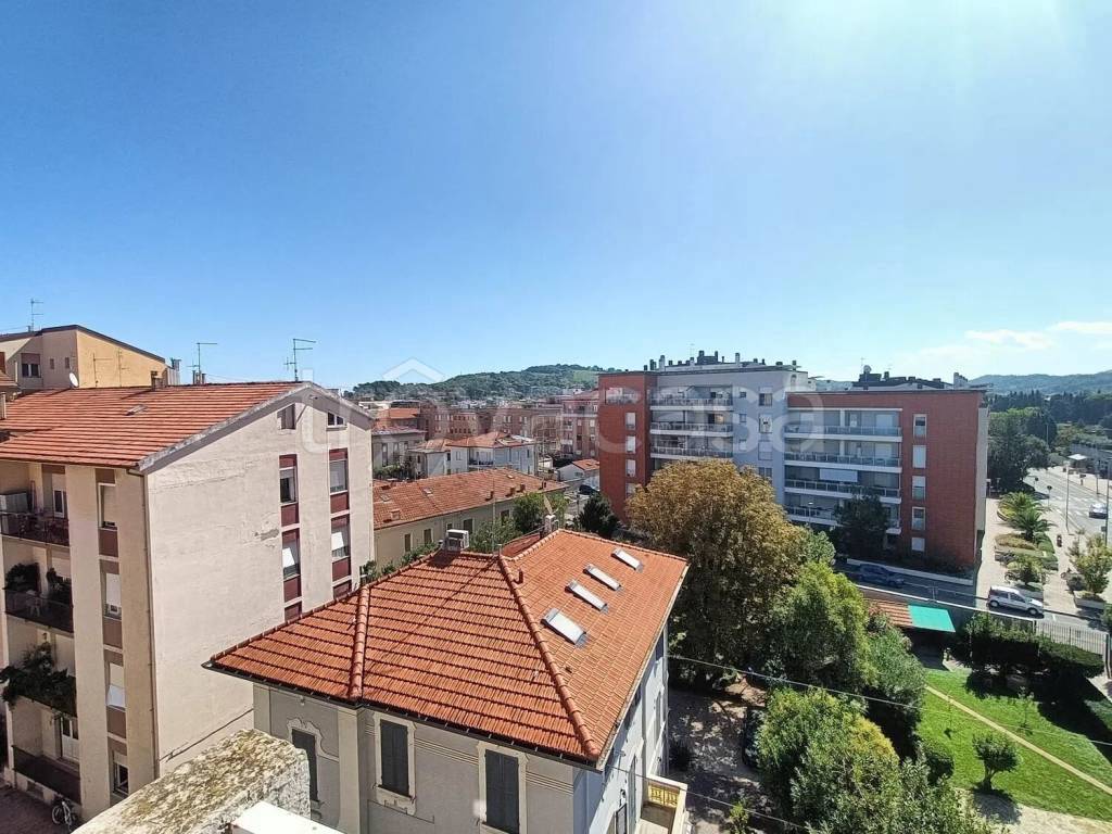 immagine annuncio 9 di 13