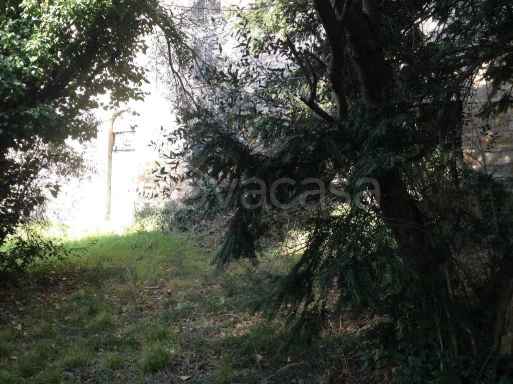 immagine annuncio 5 di 7