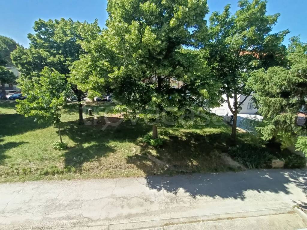 immagine annuncio 2 di 7