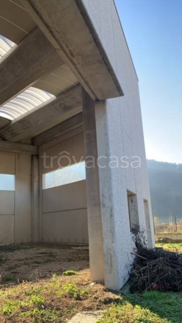 immagine annuncio 2 di 6