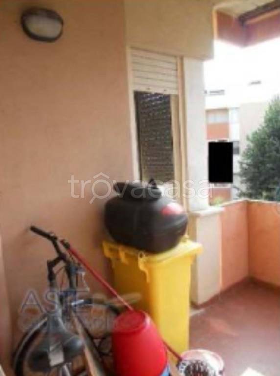 immagine annuncio 5 di 14