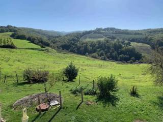 Terreno agricolo in vendita a castel del piano 