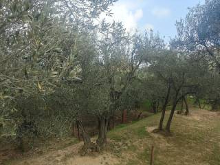 Terreno agricolo in vendita a vado ligure via viglietta