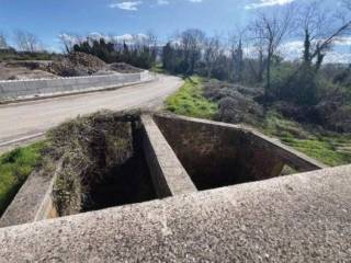 Terreno agricolo all'asta a puglianello via molino