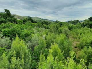 Terreno edificabile all'asta ad ascoli piceno frazione monticelli