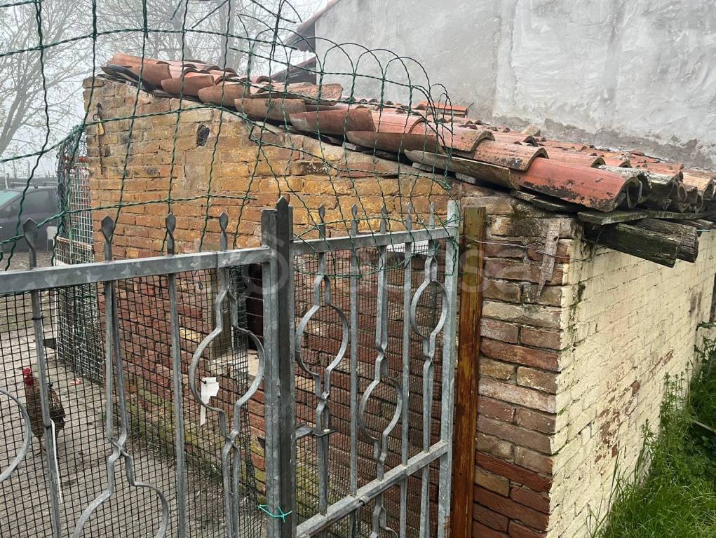 immagine annuncio 4 di 7