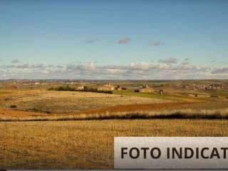 Terreno agricolo all'asta a nibionno strada consorziale