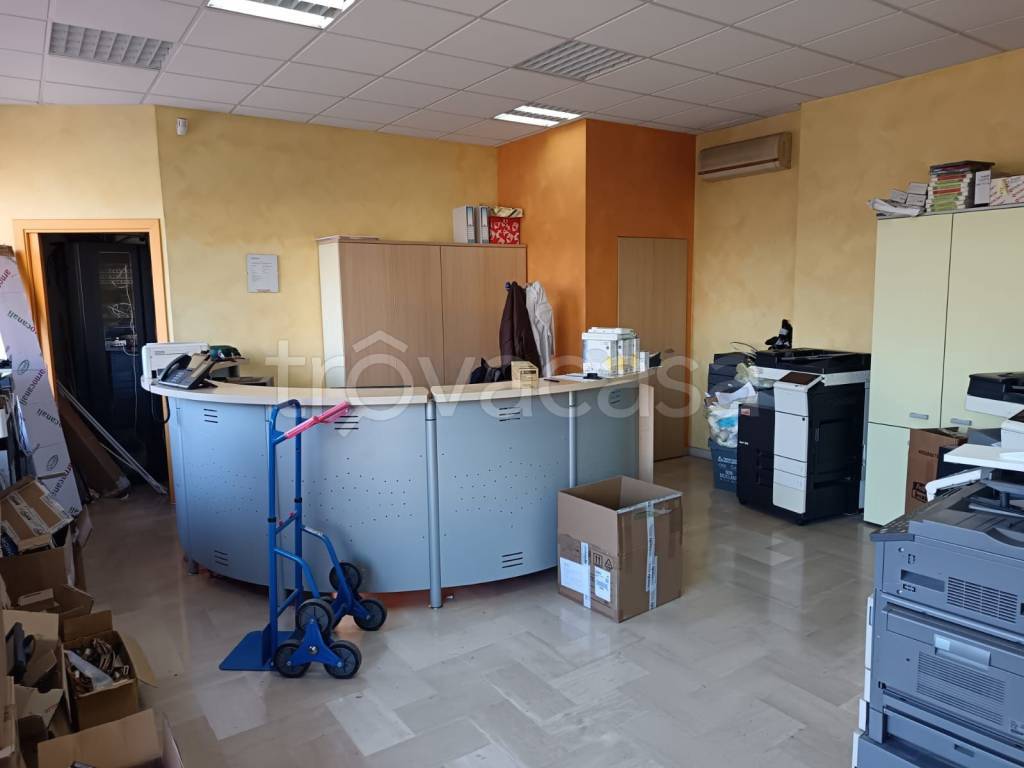 immagine annuncio 2 di 7