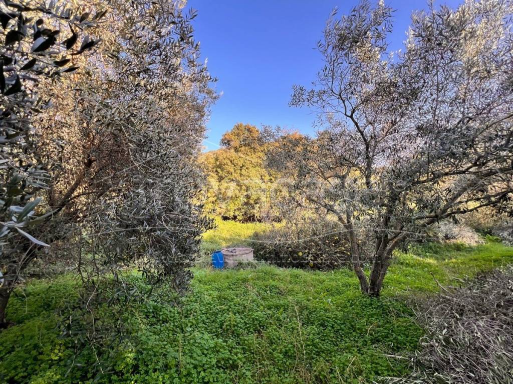 immagine annuncio 13 di 14