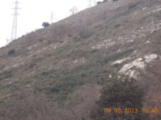 Terreno agricolo all'asta a genova via delle baracche