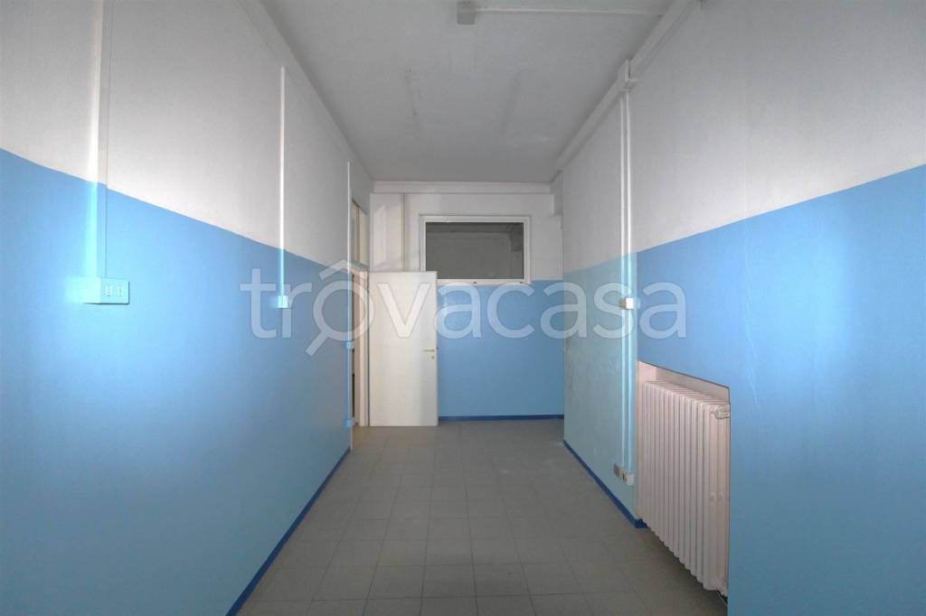 immagine annuncio 7 di 13