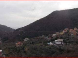 Terreno agricolo all'asta a genova via alla chiesa di san giorgio di bavari