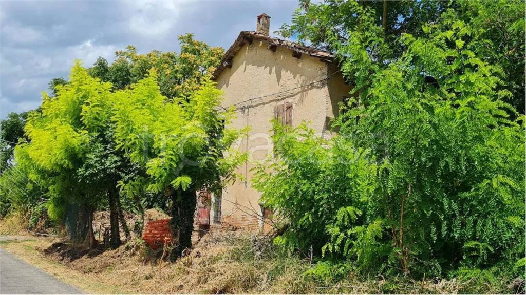 immagine annuncio 3 di 6