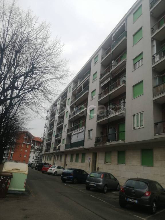 immagine annuncio 12 di 15