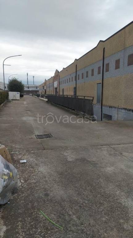 immagine annuncio 2 di 3