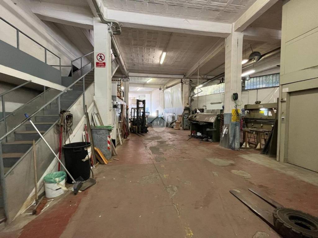 immagine annuncio 9 di 15