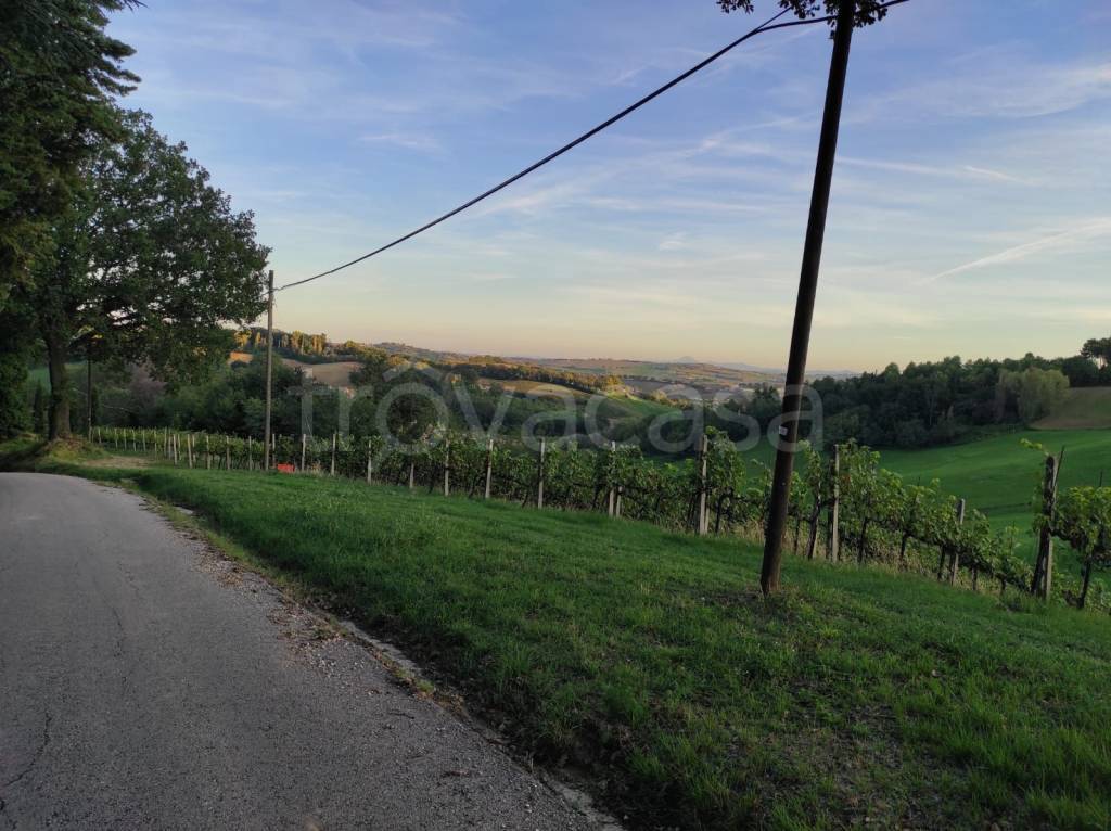 immagine annuncio 5 di 6