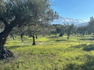 Terreno agricolo in vendita a tocco da casauria via san giovanni a marano