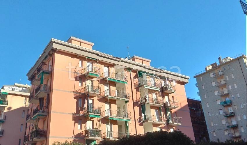 immagine annuncio 12 di 14