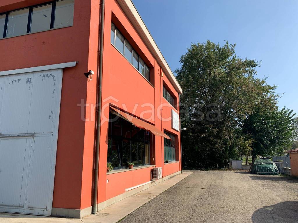 immagine annuncio 12 di 13