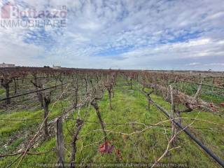 Terreno agricolo in vendita a lizzano sp125