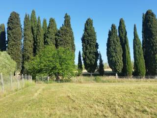 Terreno agricolo in vendita a torrita di siena via lago d'iseo