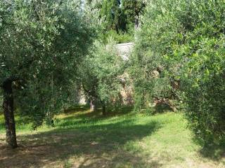 Terreno agricolo in vendita a torrita di siena località pievino