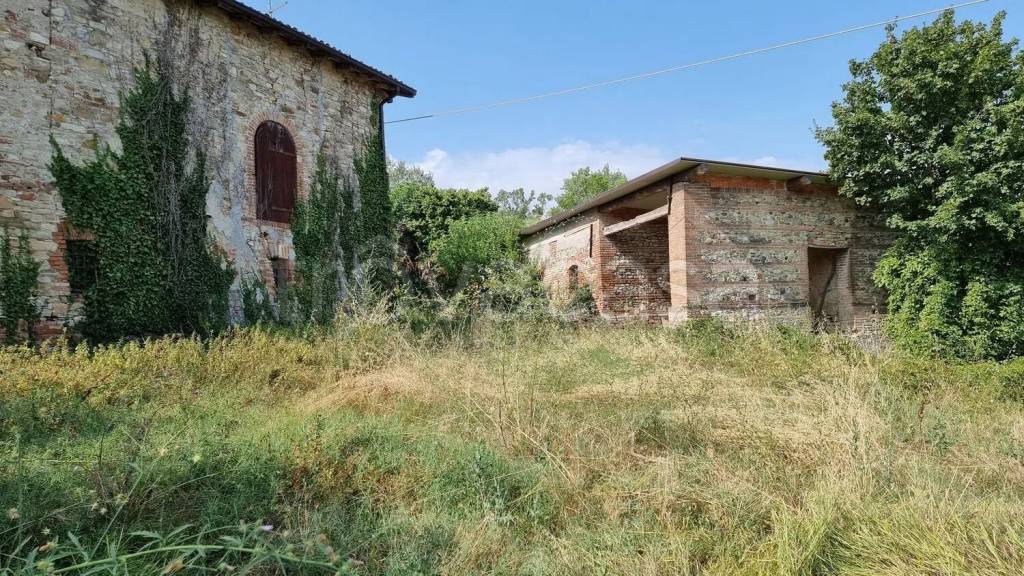 immagine annuncio 12 di 13
