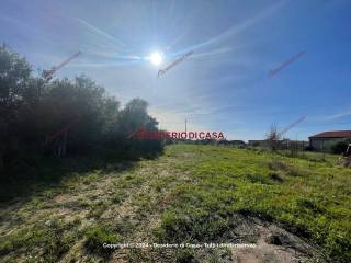 Terreno agricolo in affitto a cefalù contrada san nicola