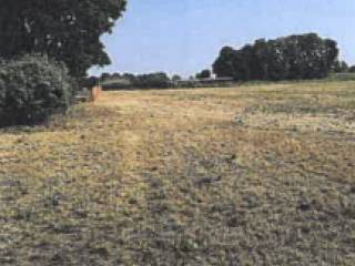 Terreno agricolo all'asta a vailate via del perdono