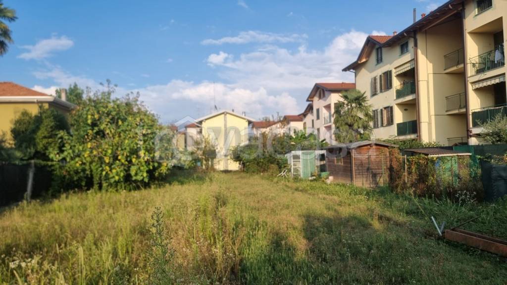 immagine annuncio 4 di 15
