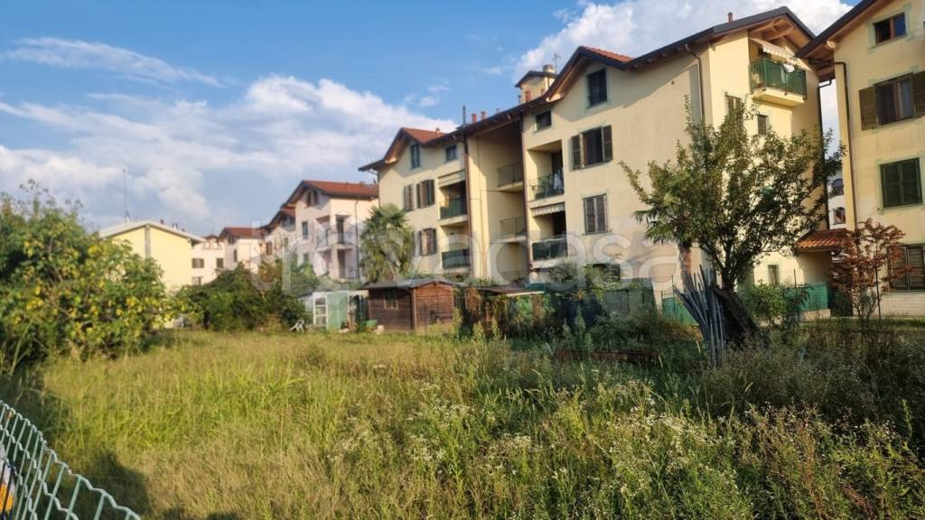 immagine annuncio 10 di 15