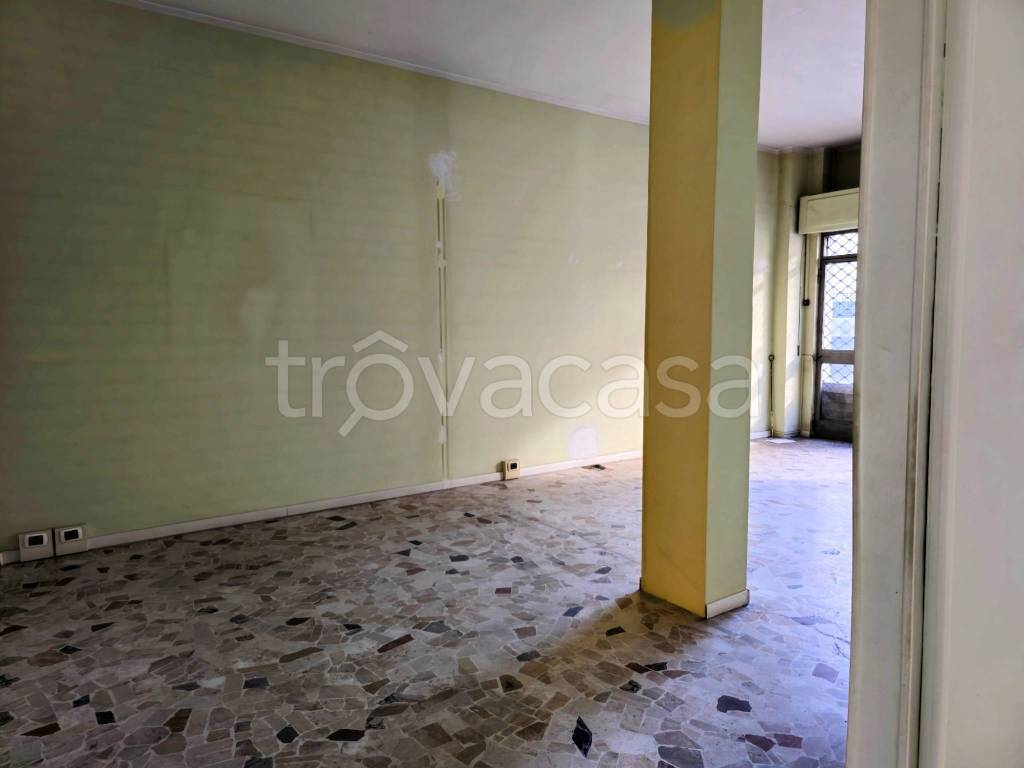 immagine annuncio 9 di 14