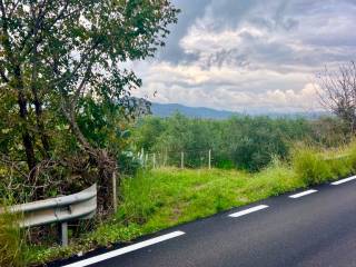 Terreno agricolo in vendita ad ascea via isacia, 1