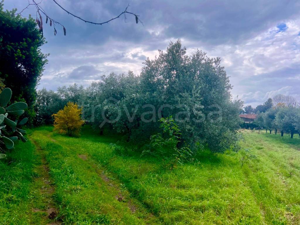 immagine annuncio 7 di 9