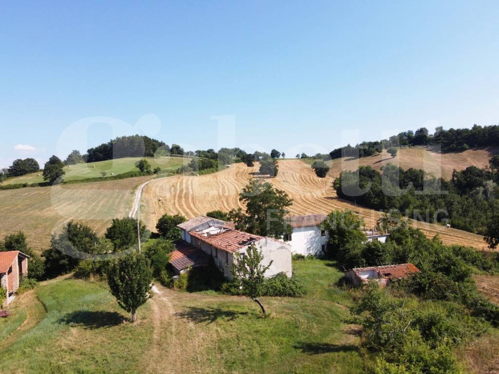 immagine annuncio 5 di 11