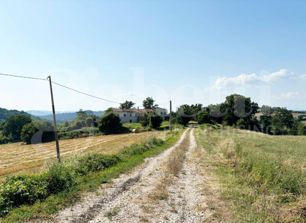 immagine annuncio 8 di 11