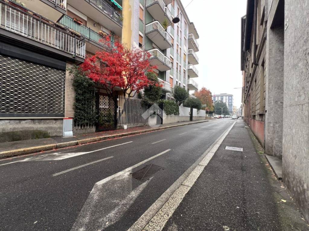 immagine annuncio 2 di 13
