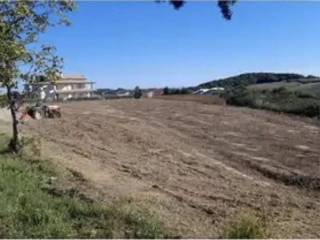 Terreno agricolo in vendita a gissi via colle pizzuto