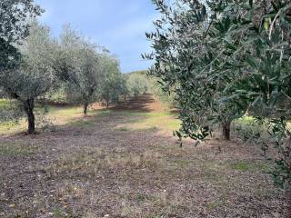 Terreno agricolo in vendita a vasto via incoronata