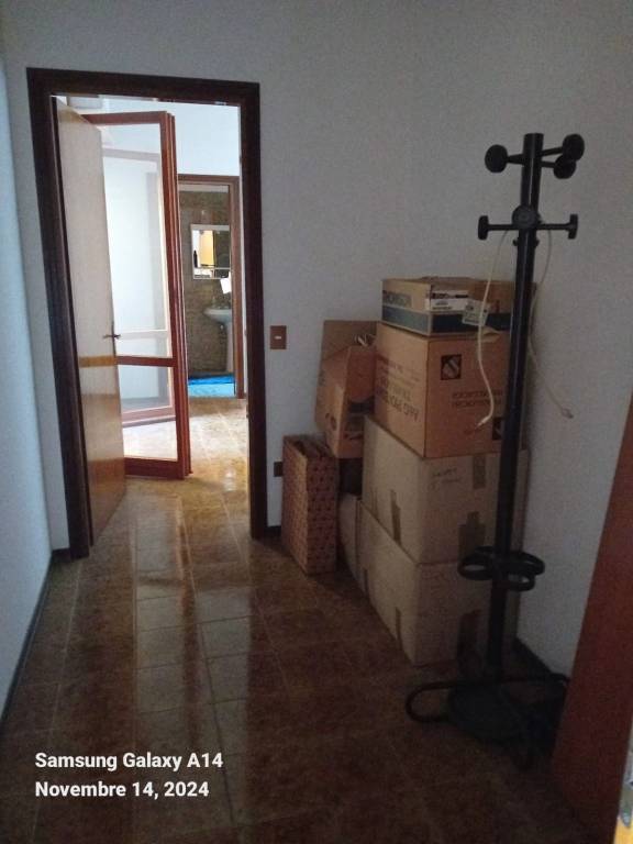 immagine annuncio 5 di 12
