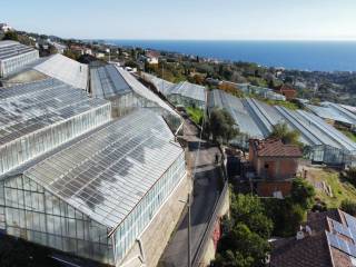 Terreno agricolo in vendita a sanremo strada san lorenzo